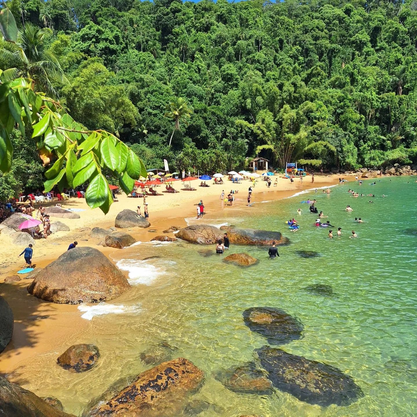 Praia do Cedro Cedrinho - Image 1