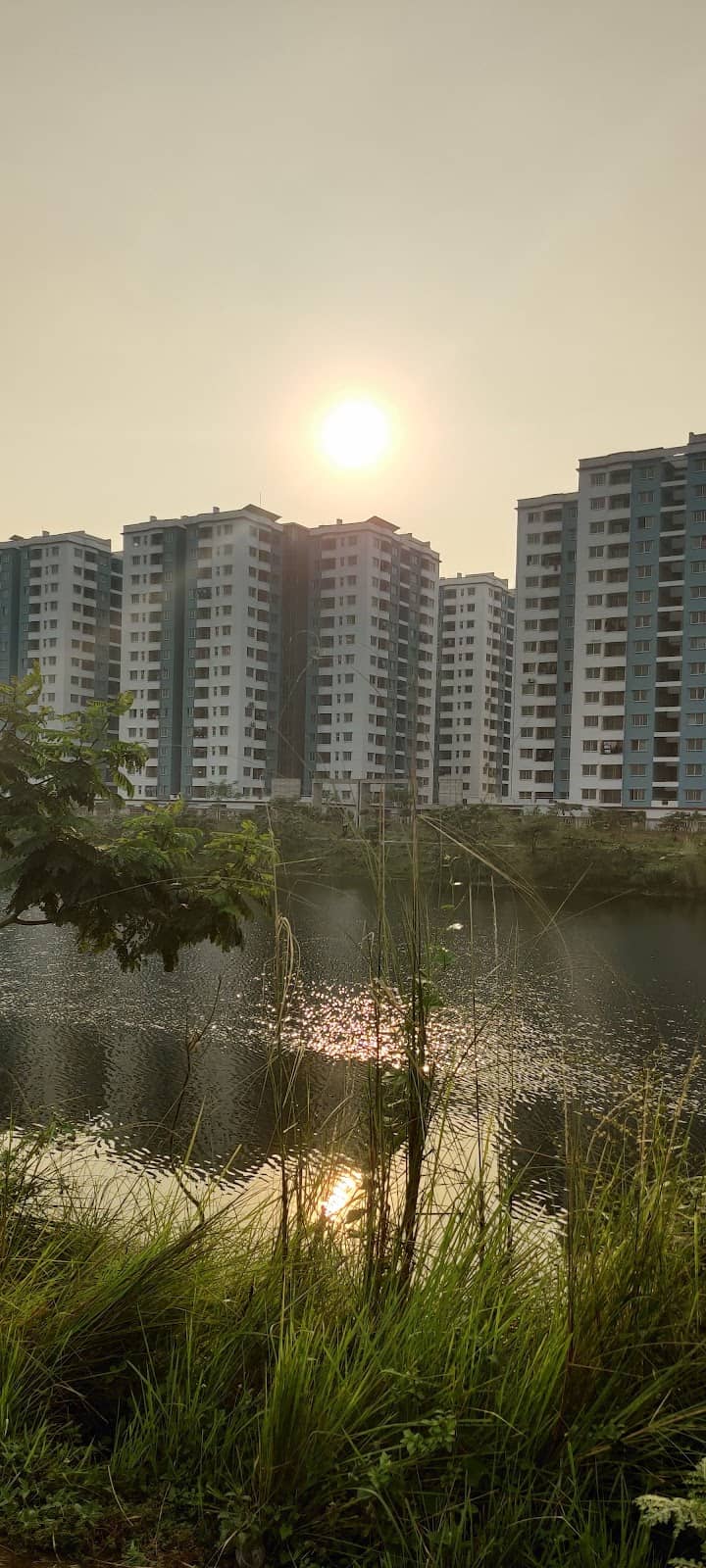 Metro Rail Sightings