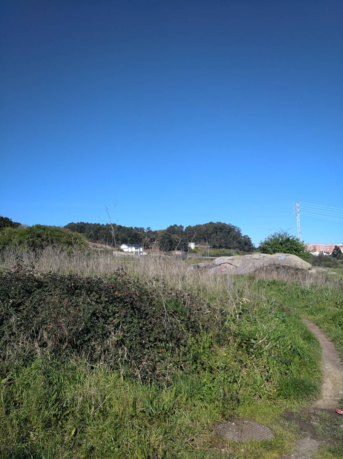 Local Culture Immersion