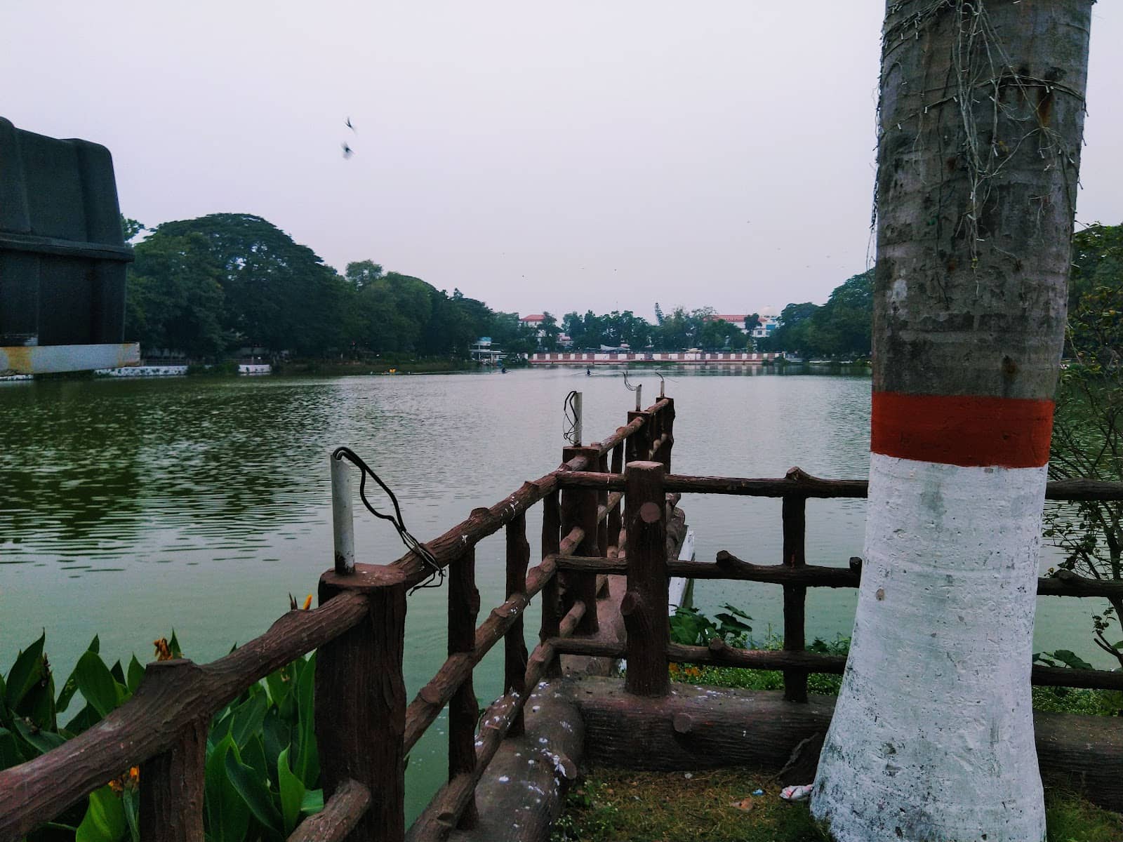 Vertical photo