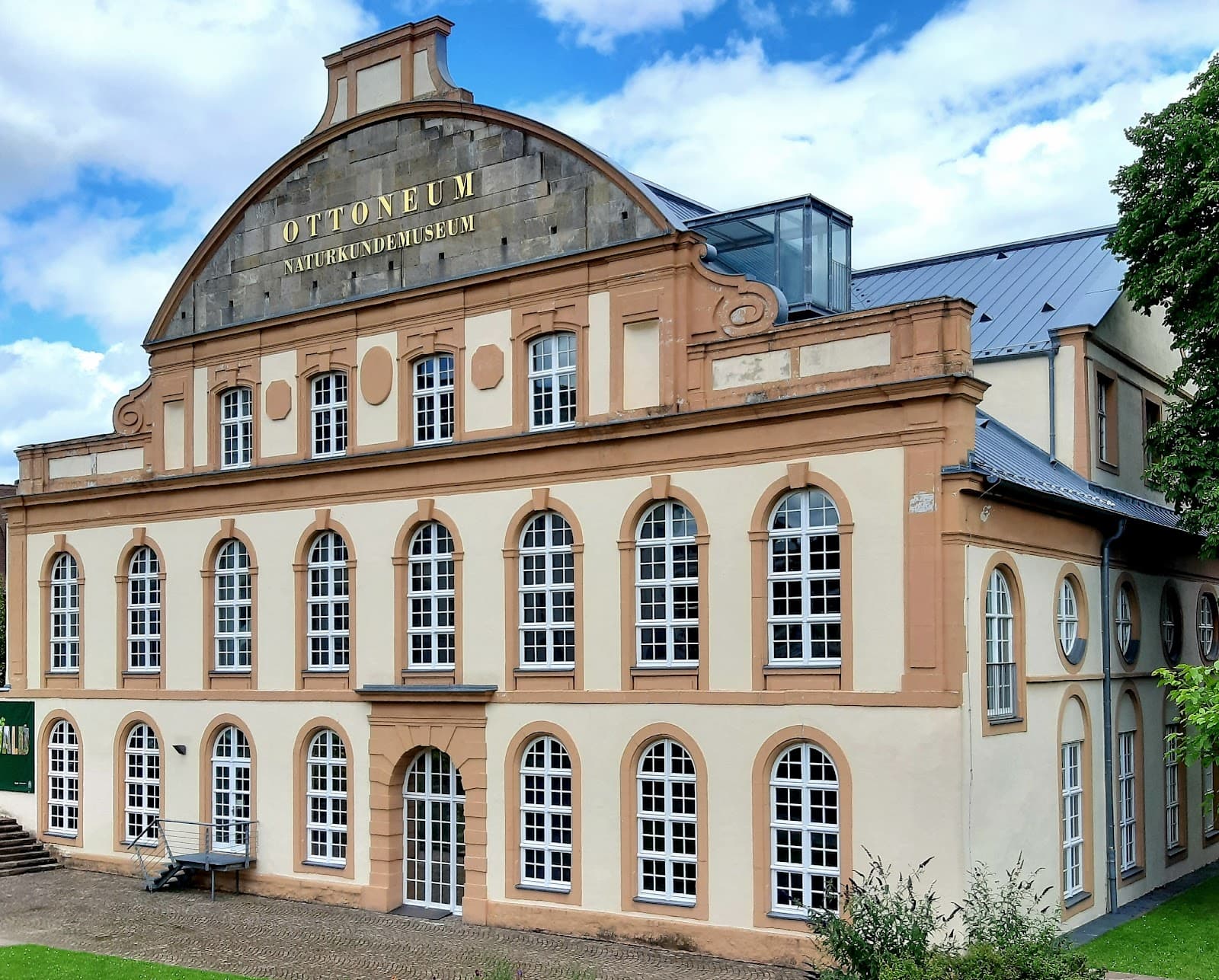 Ottoneum Natural History Museum Kassel - Image 1