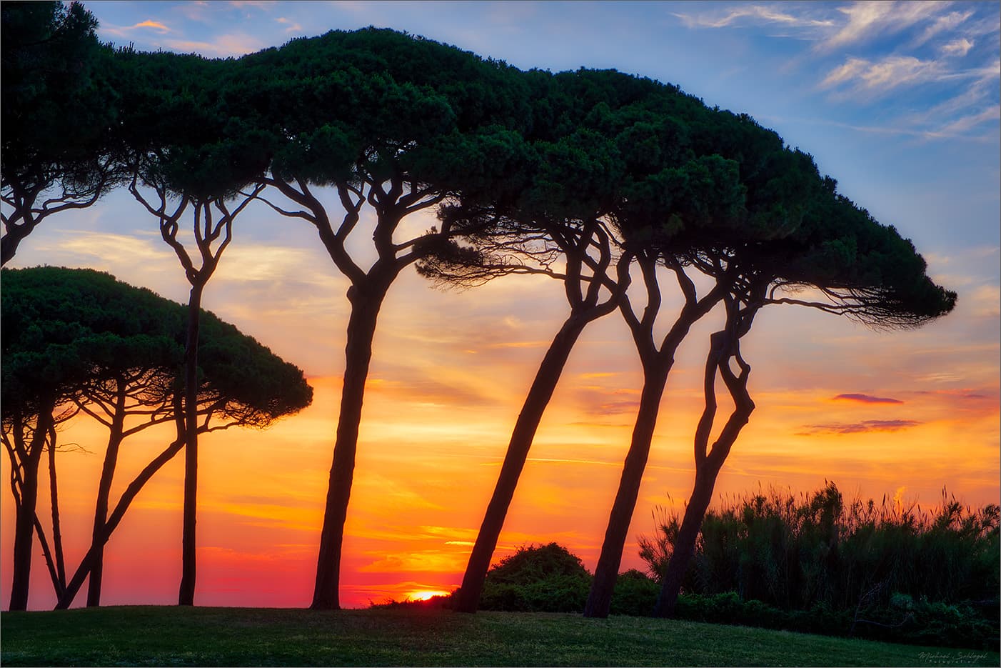 Populonia and Gulf of Baratti - Image 1