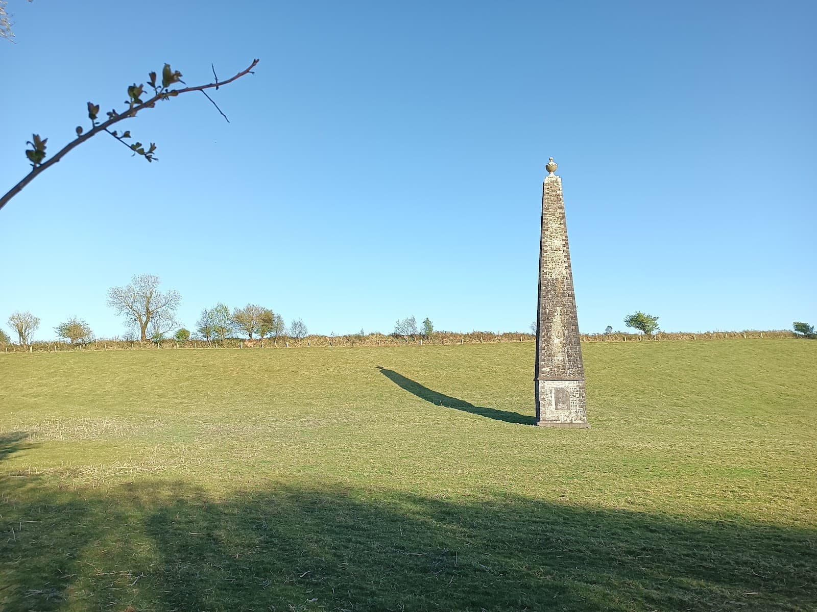 Rehins Wood - Image 1