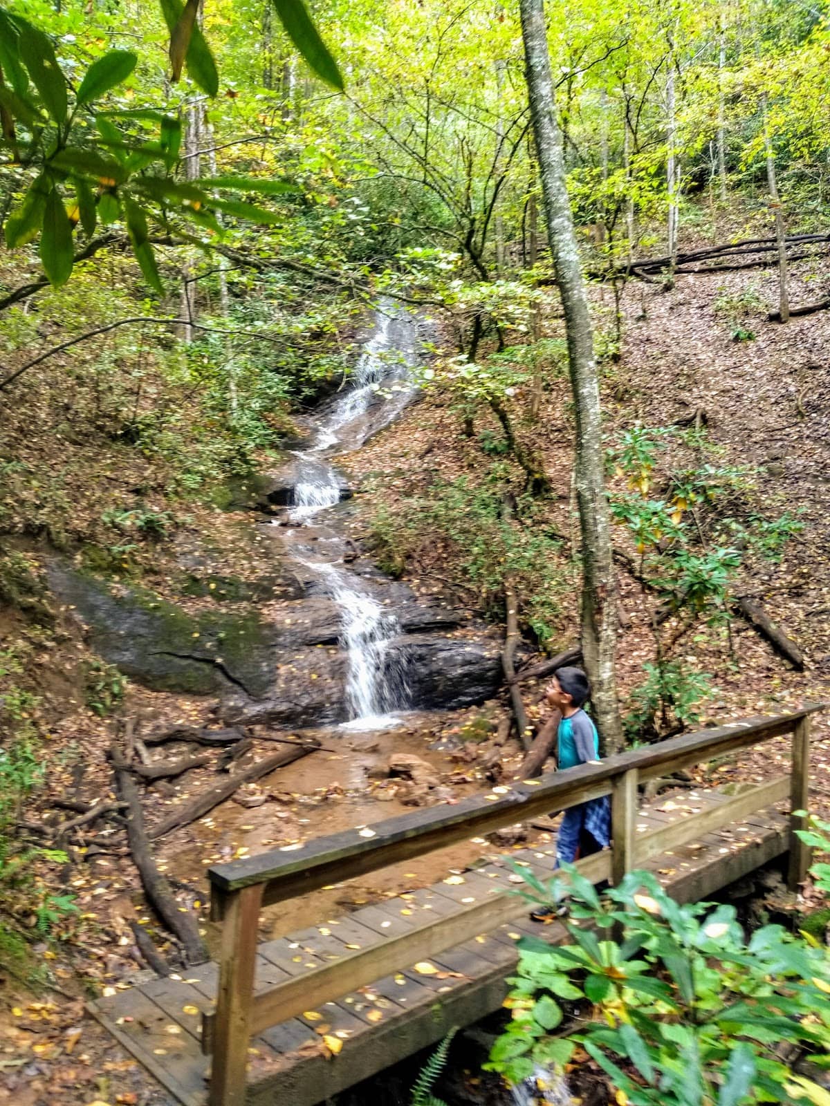 Wallace Branch Waterfall