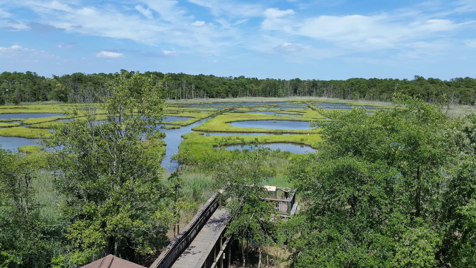 Cattus Island County Park - Image 1