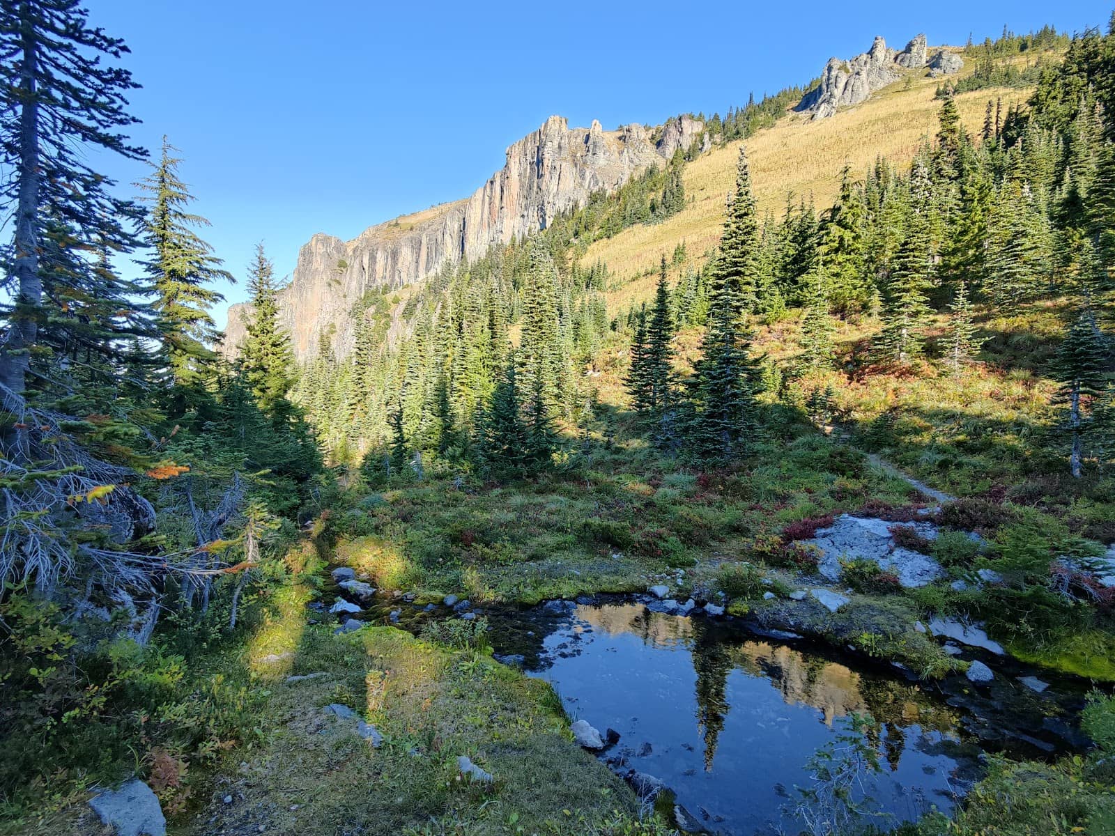 Remote Circuit Experience