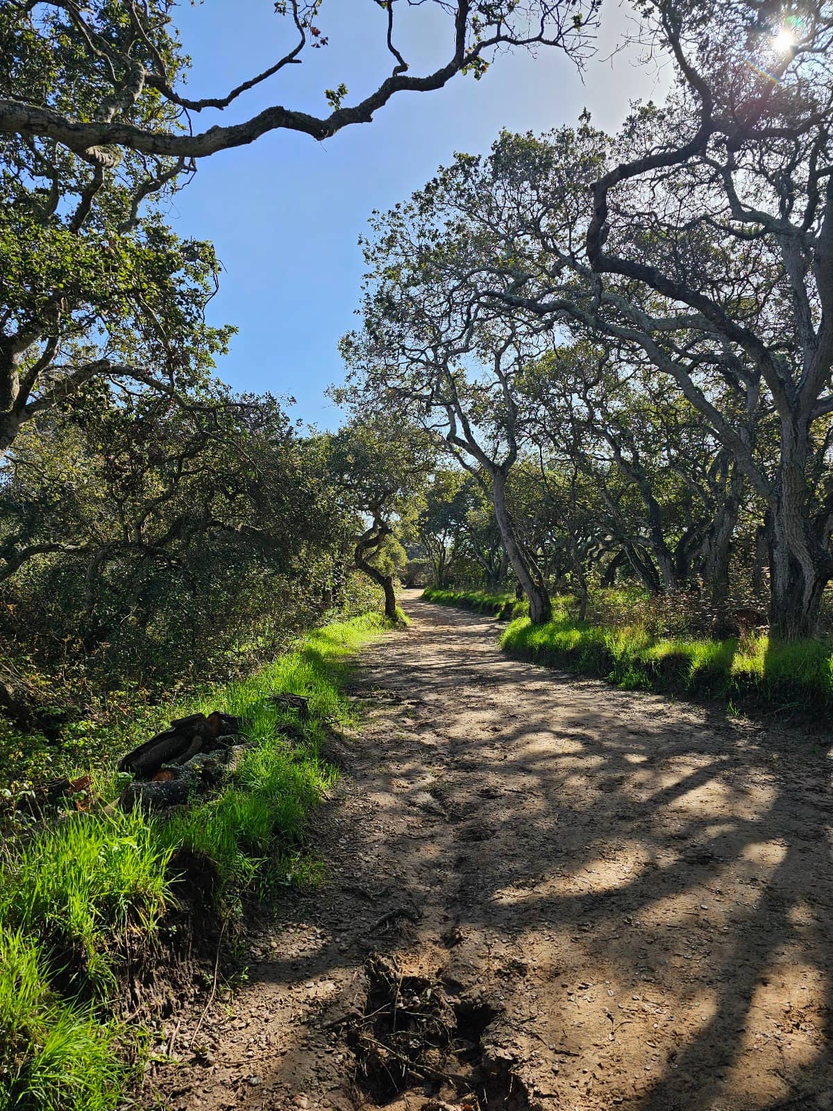 Equestrian Opportunities