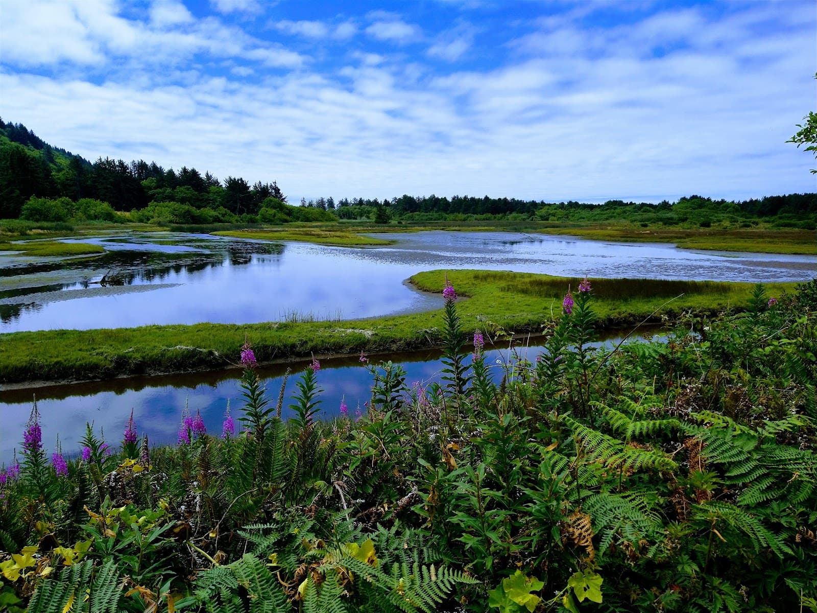 Sitka Sedge State Natural Area - Image 1