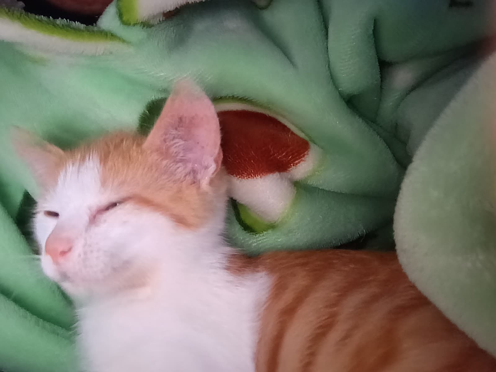 Cerro Mariposas - Image 1