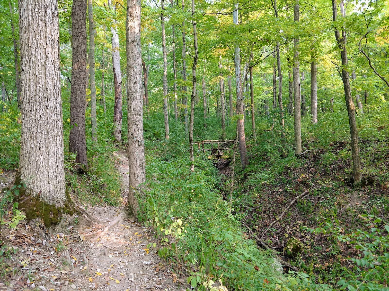 Great Miami River Views