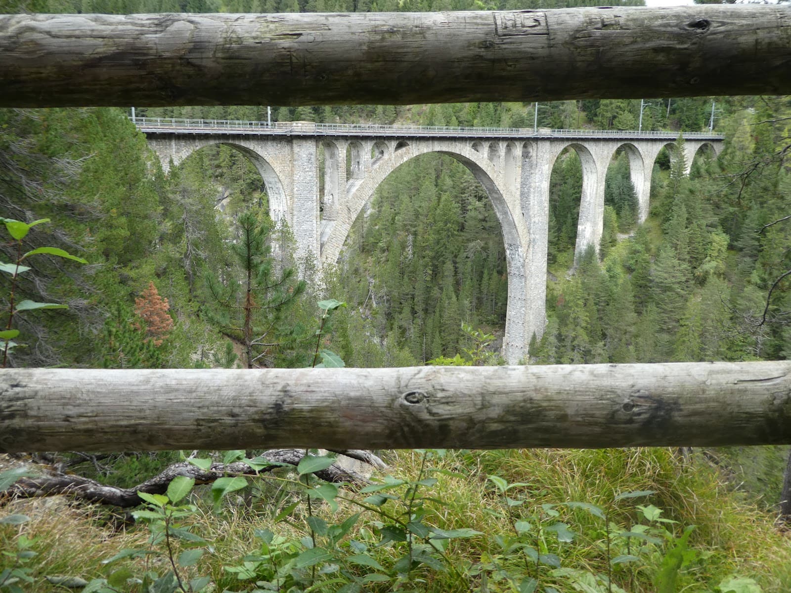 Davos Wiesen - Image 1