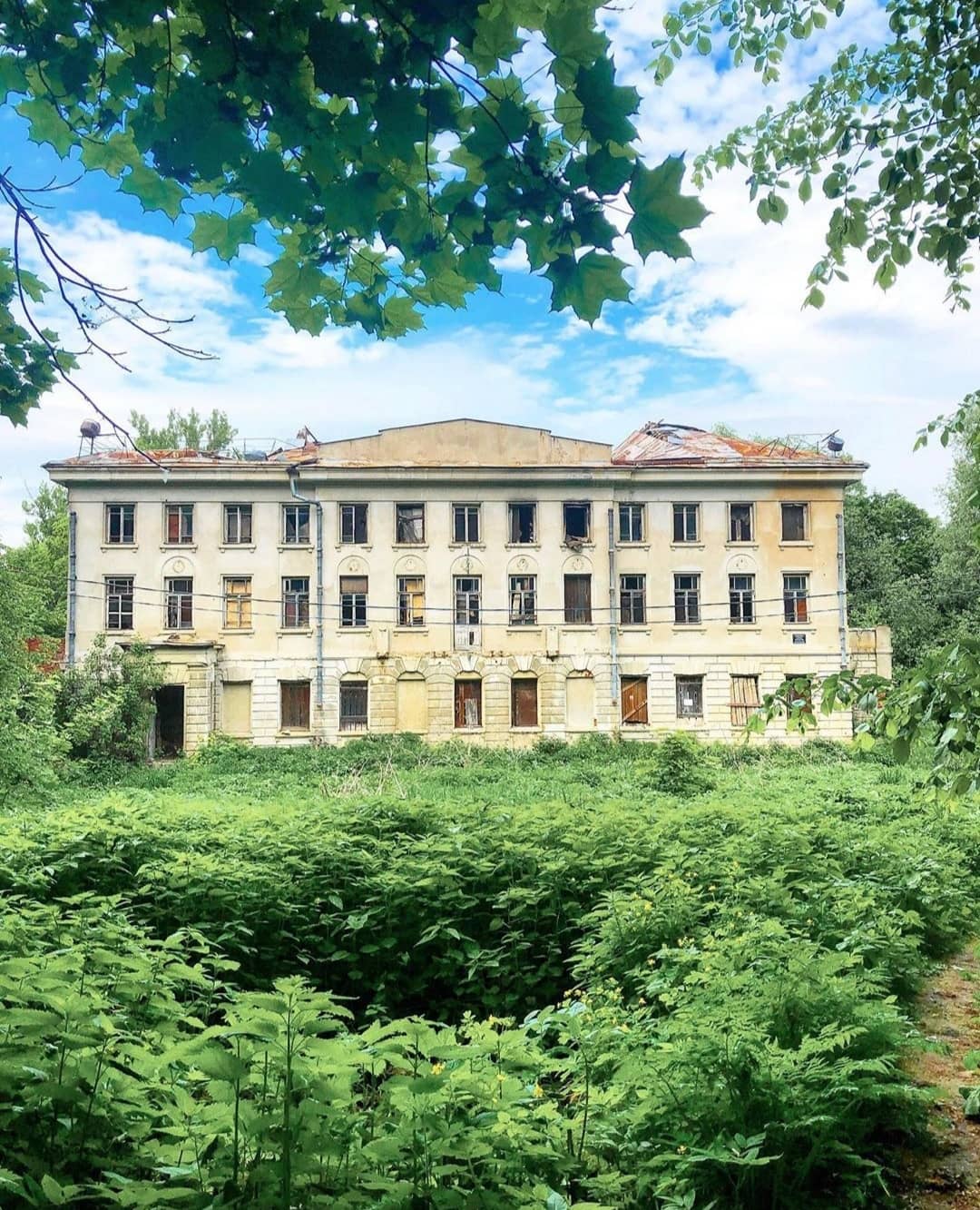 Nature Trail Exploration