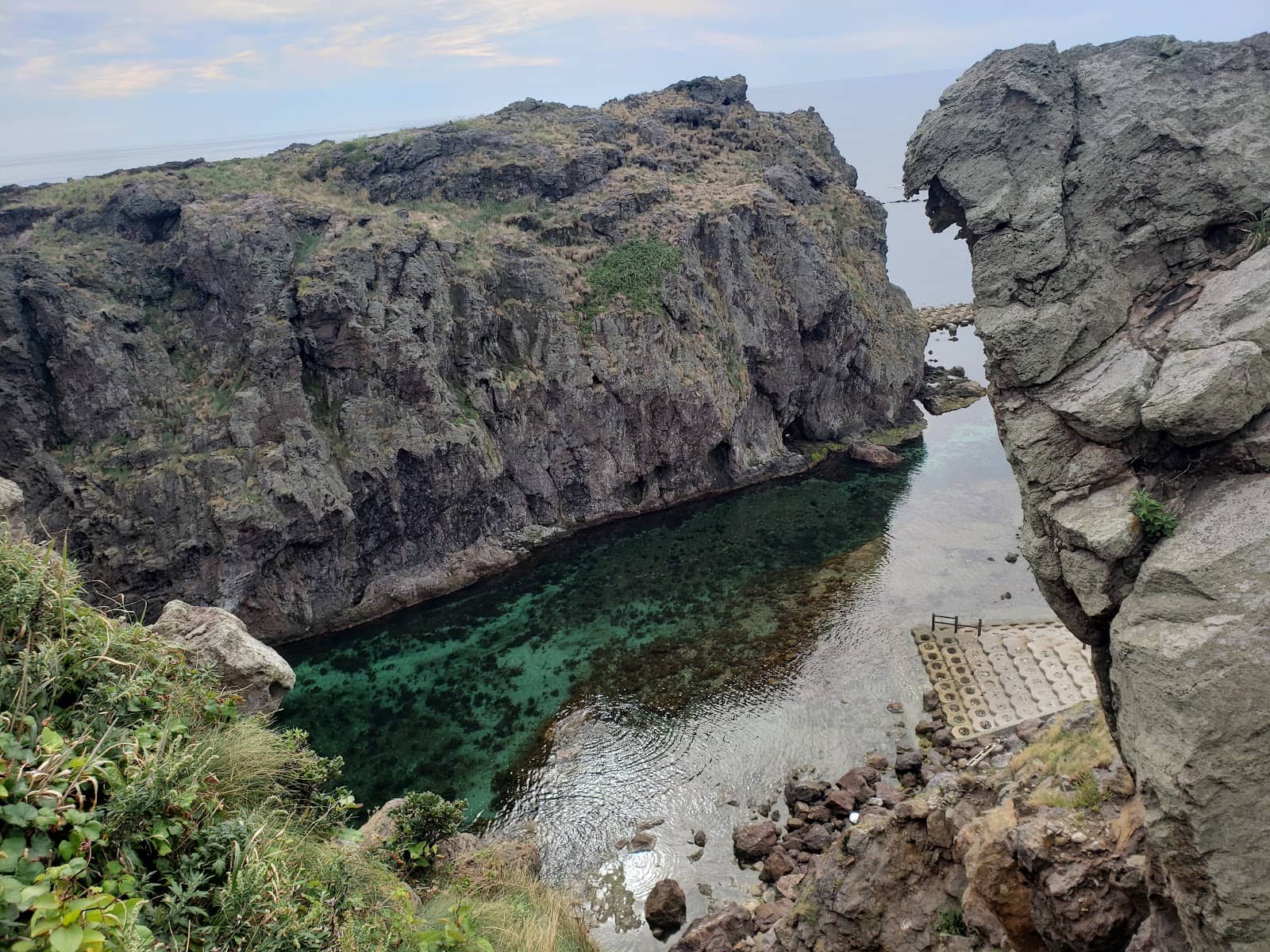 Shark Diving Adventures