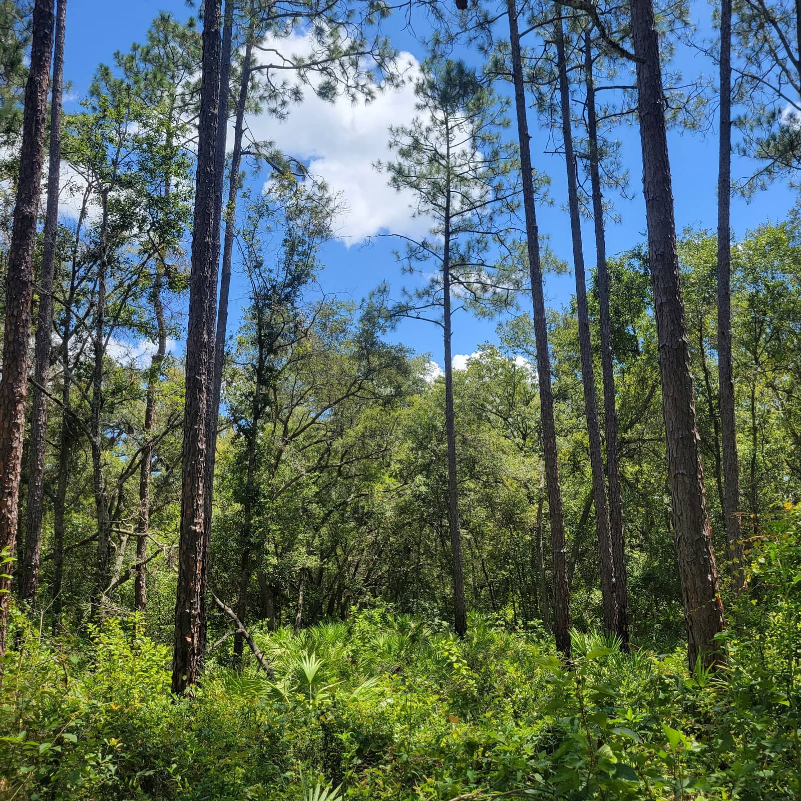 Extensive Trail Network