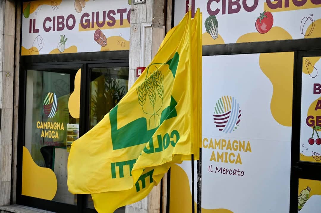 Adriatic Fish Market