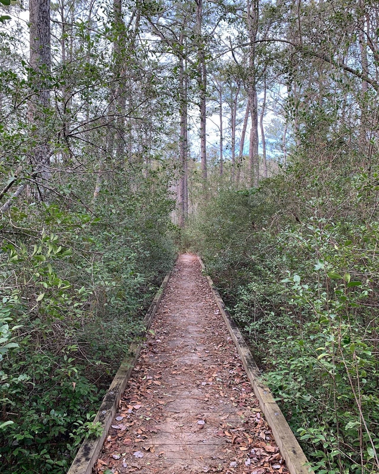 Neusiok Trail - Image 1