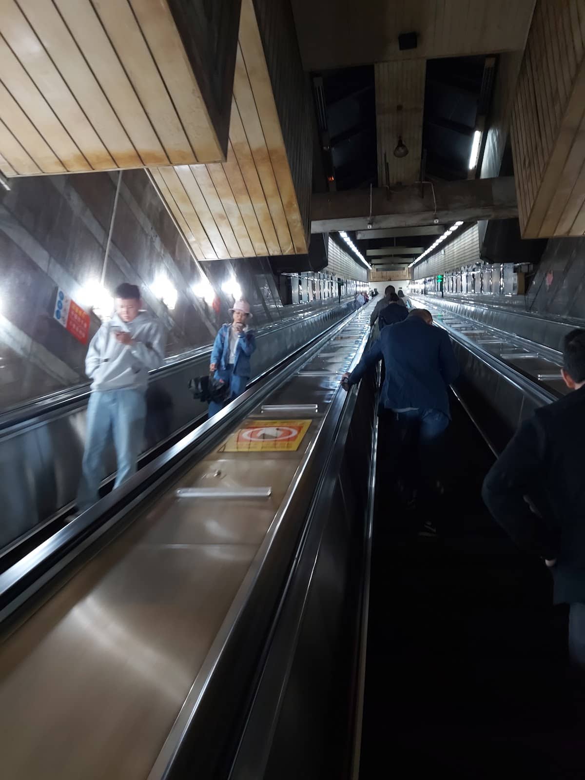 Cyberpunk Cityscape Views