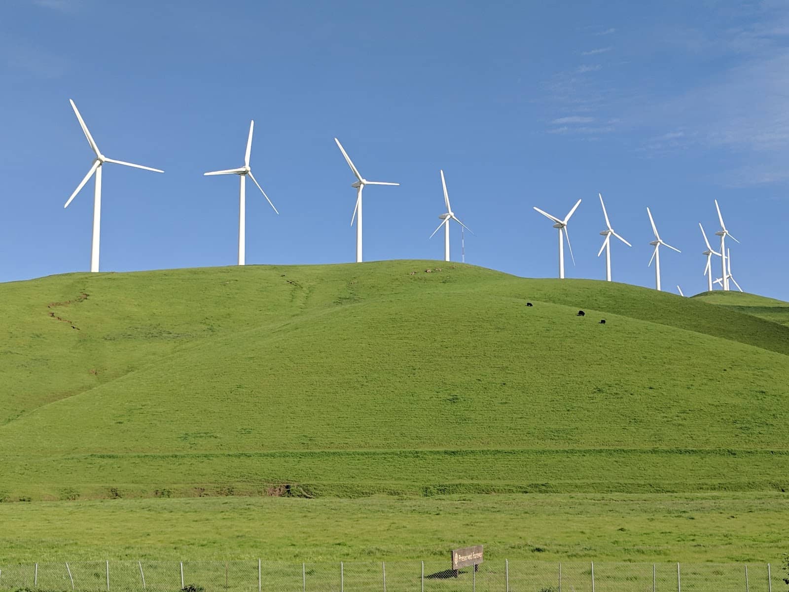 Indigenous Cultural Significance