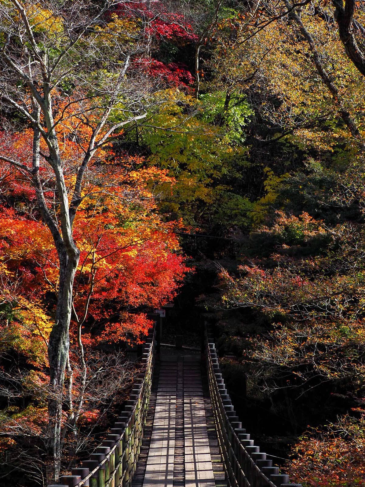Hananuki Gorge Suspension Bridge
