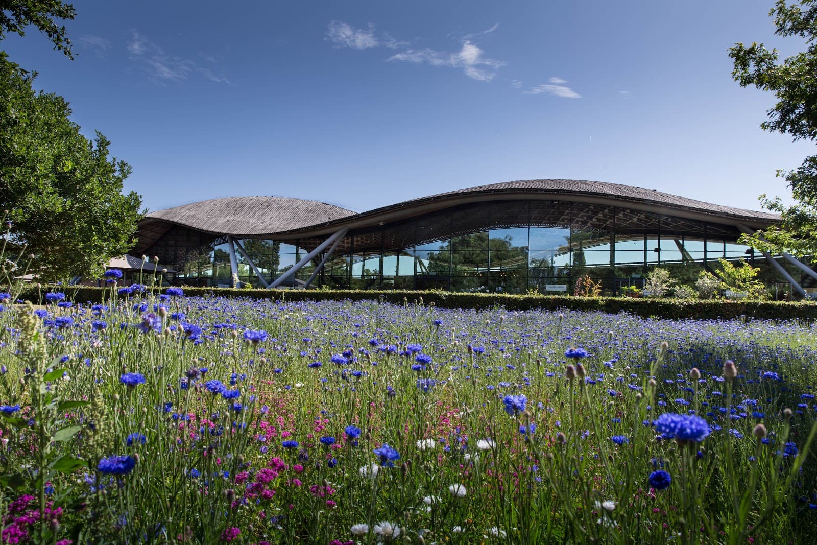 Savill Garden - Image 1