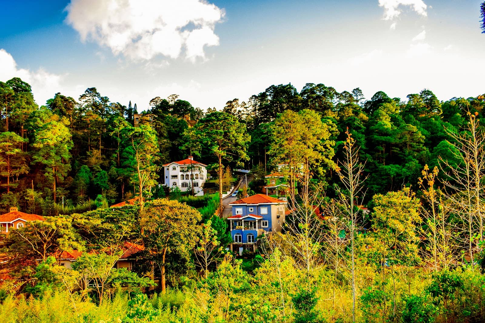 Artisan Shops and Galleries