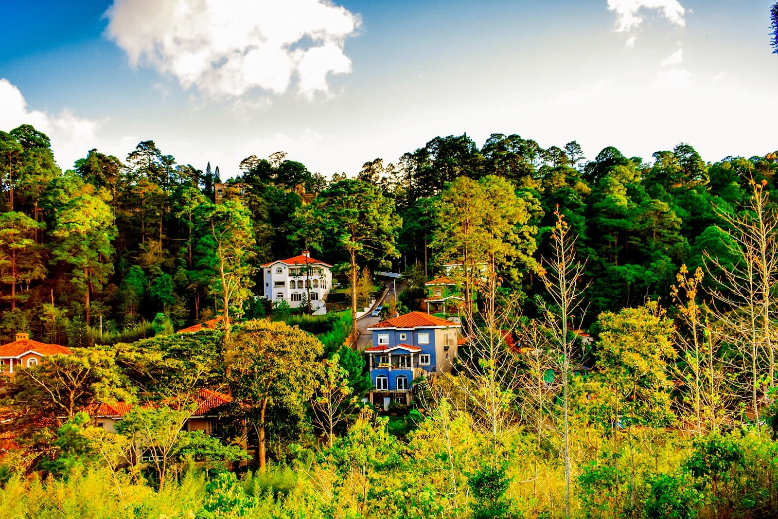 El Hatillo - Image 1