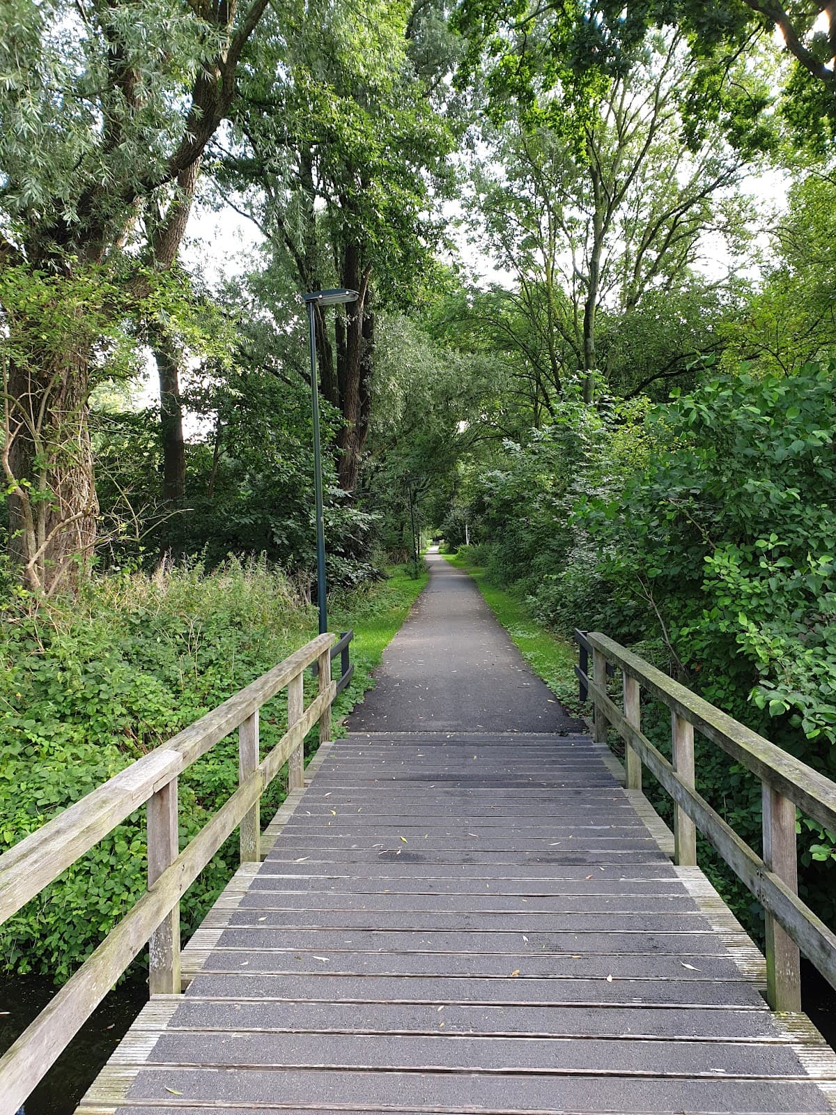 Risdammerhout - Image 1
