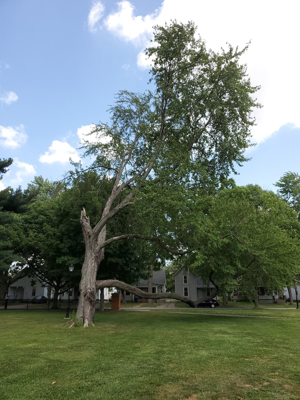 Enos Park - Image 1