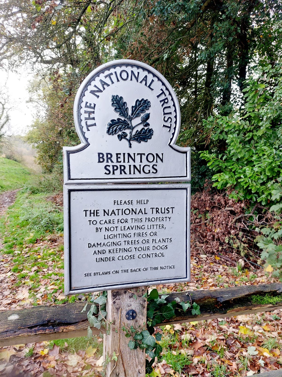 Breinton Springs - Image 1
