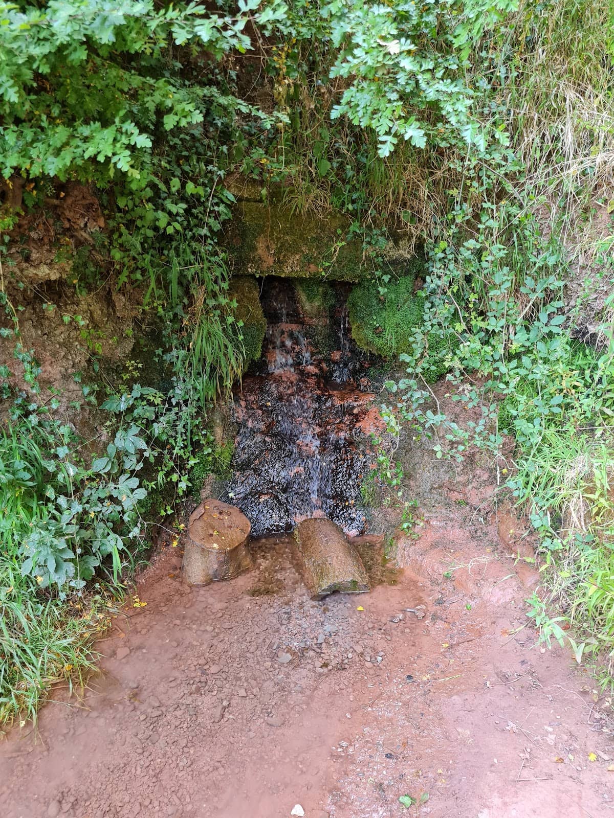 Vertical photo
