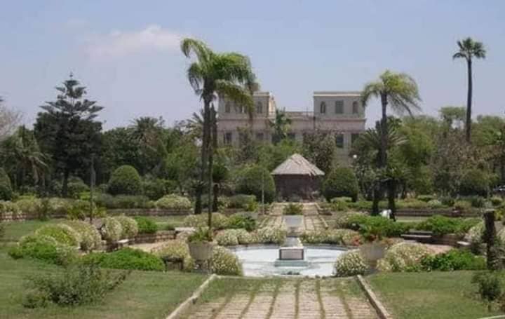 Spacious Green Areas