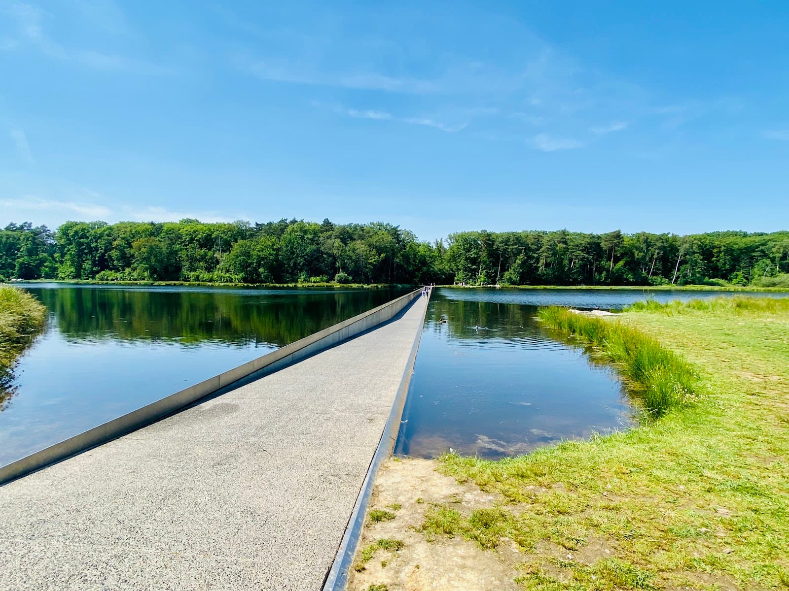 Cycling Through Water - Image 1