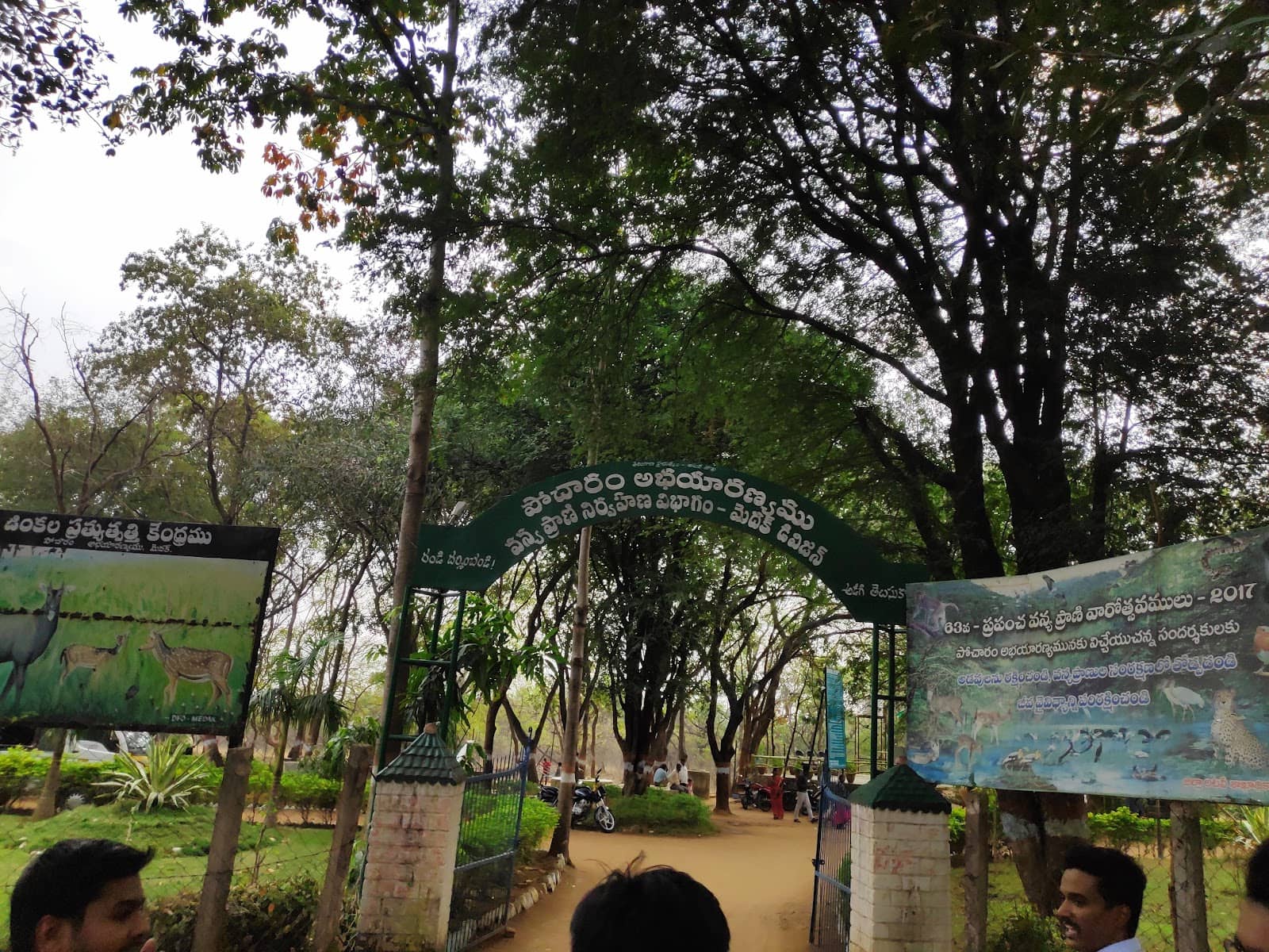 Nature Trekking & Birdwatching