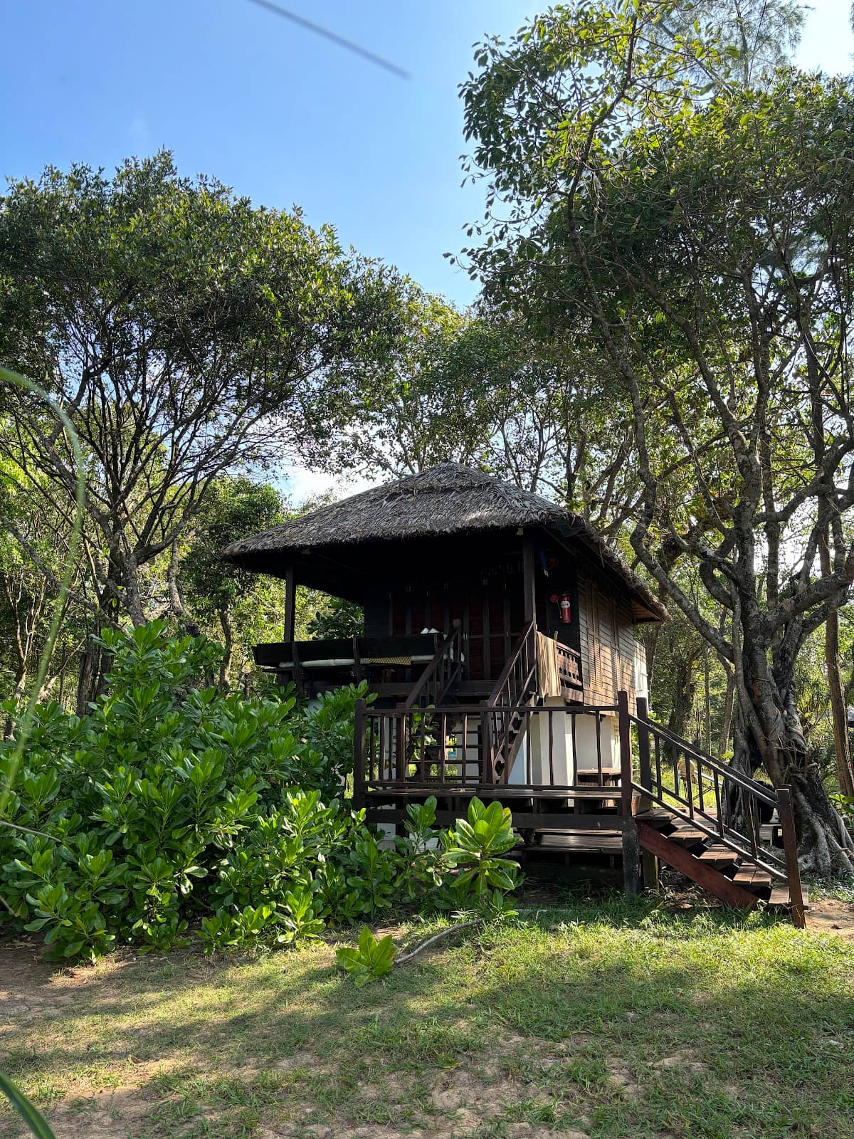 Tranquil Mangrove Kayaking
