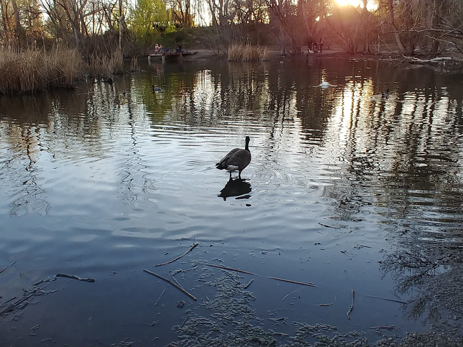 Beus Pond Park - Image 1