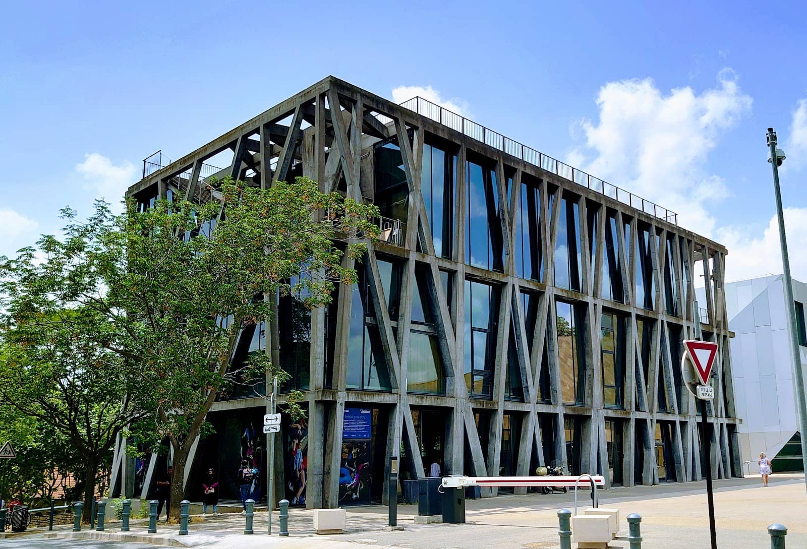 Immersive Performance Experience