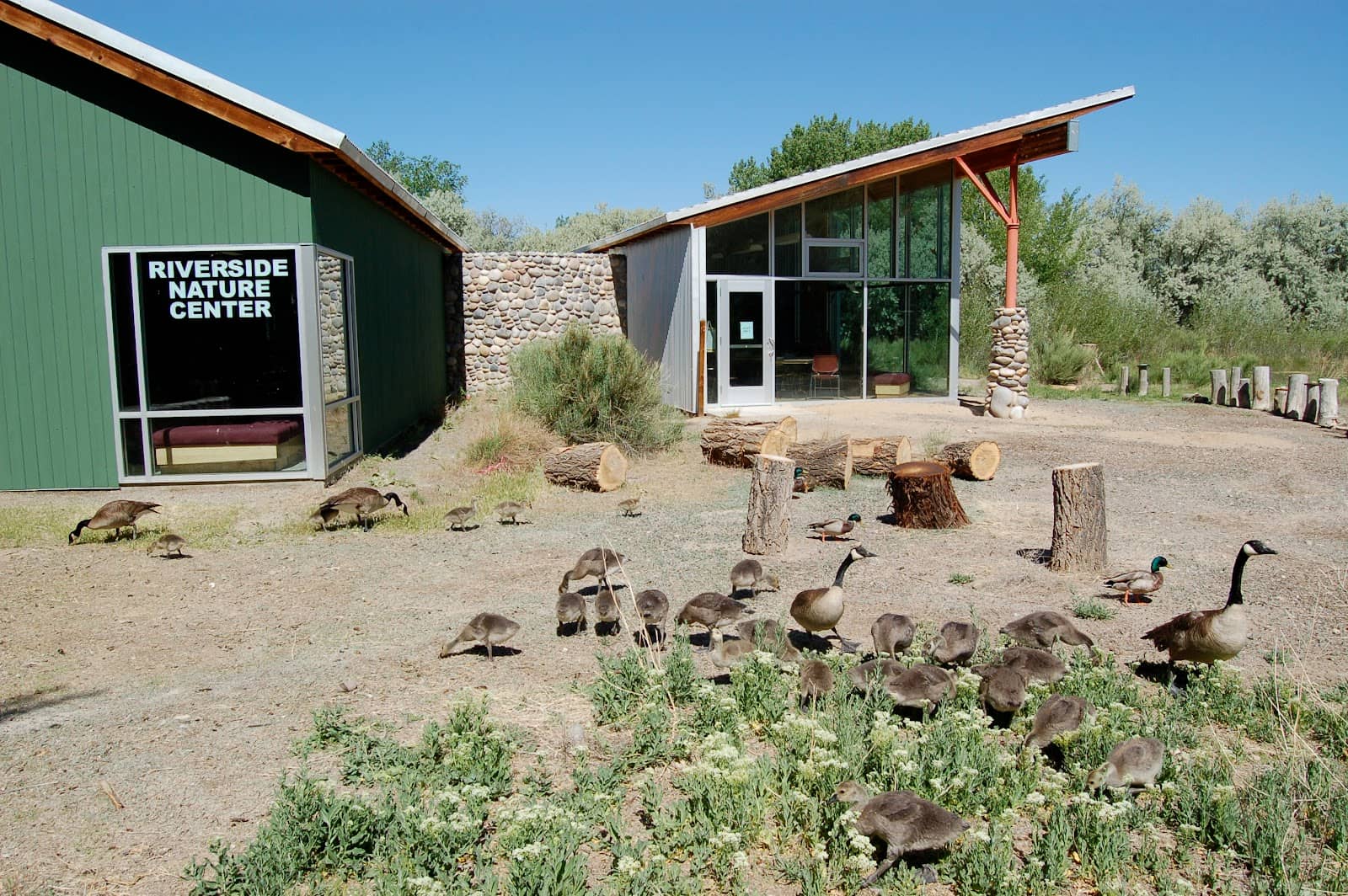 Interactive Educational Events