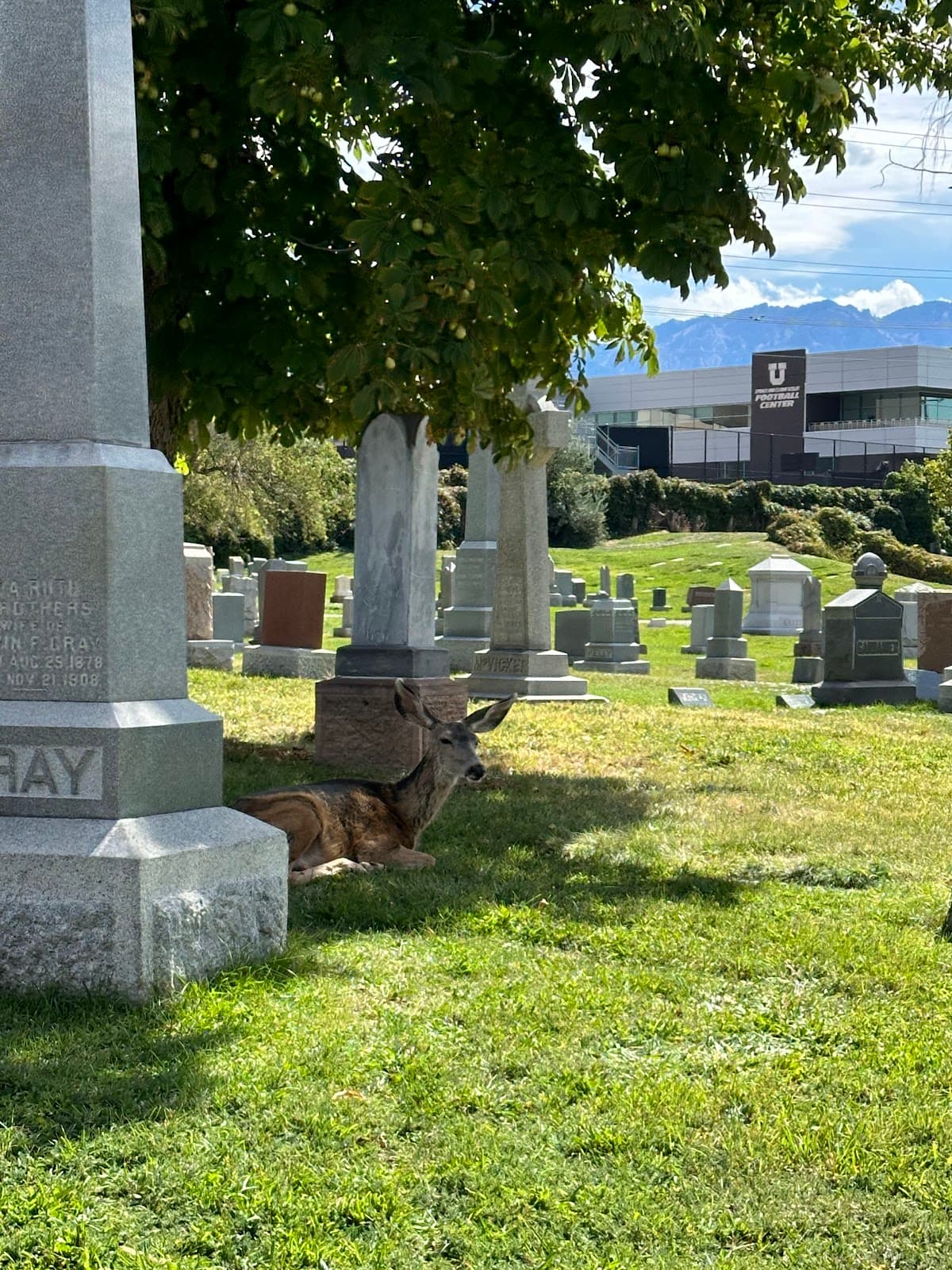 Mount Olivet Cemetery - Image 1