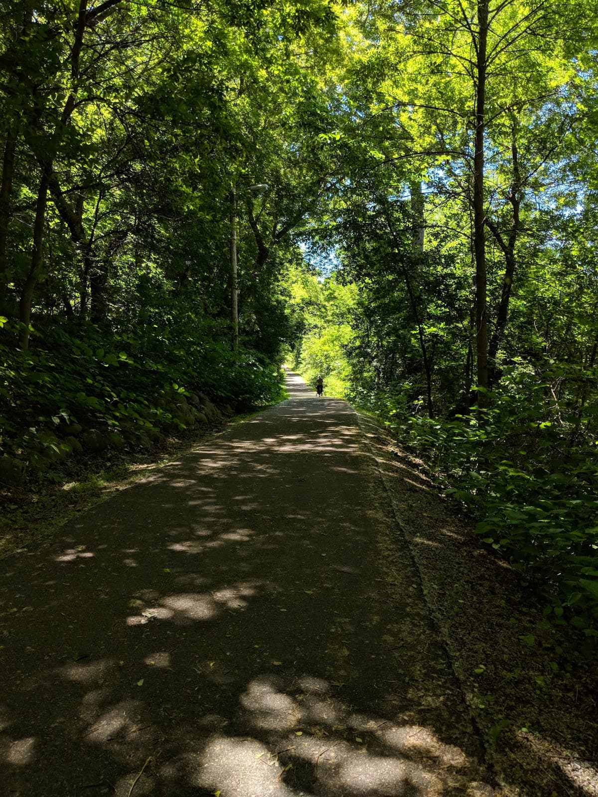 Newberry Trail - Image 1