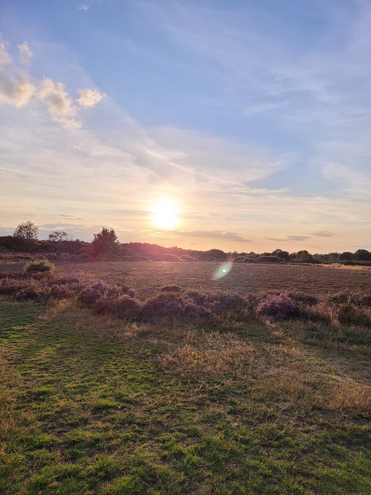 Rushmere Heath Ipswich - Image 1
