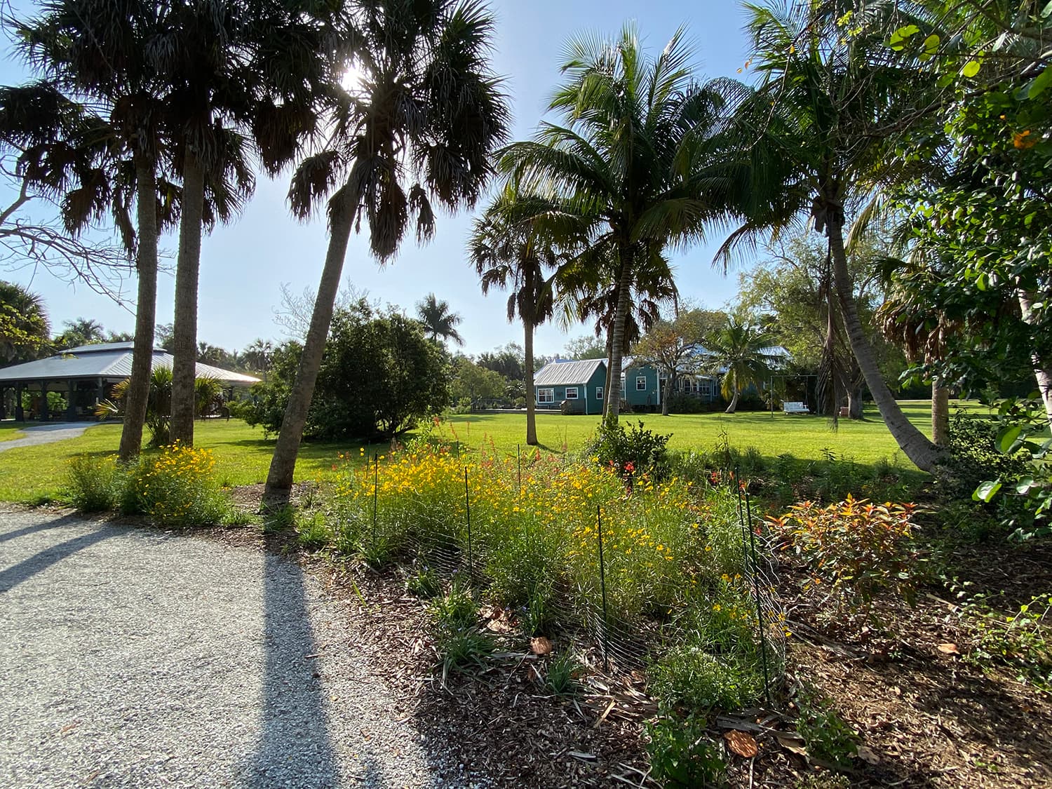 SCCF Bailey Homestead Preserve - Image 1