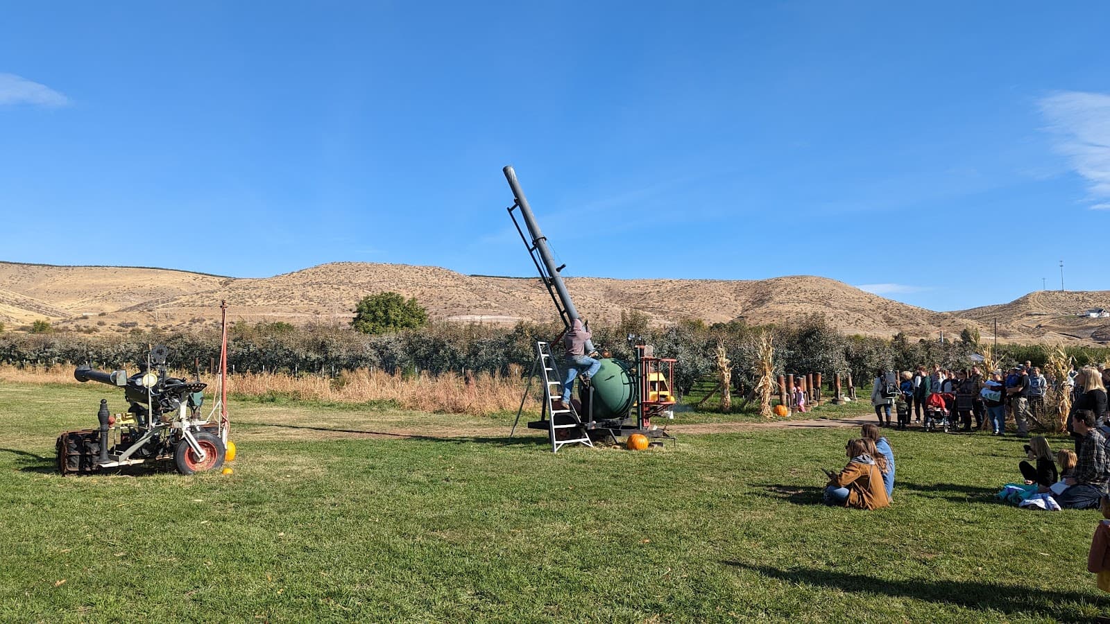 Thompson's Farm (Naches) - Image 1