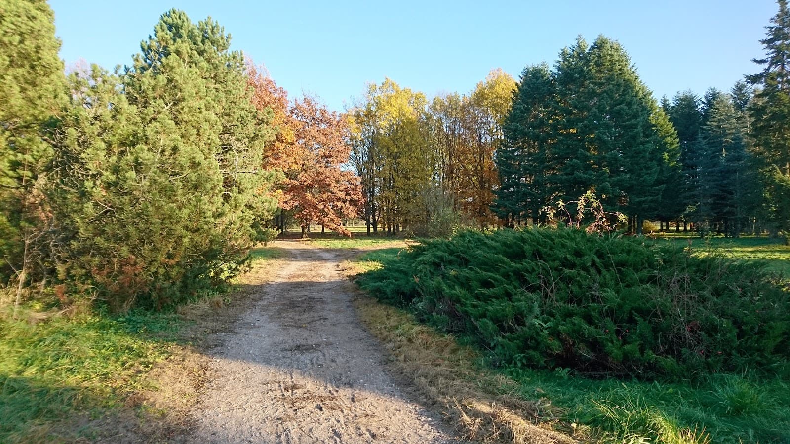 Dubrava Arboretum and Boardwalk - Image 1