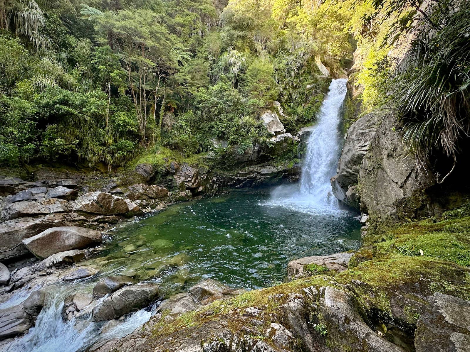 Te Waikoropupū Springs