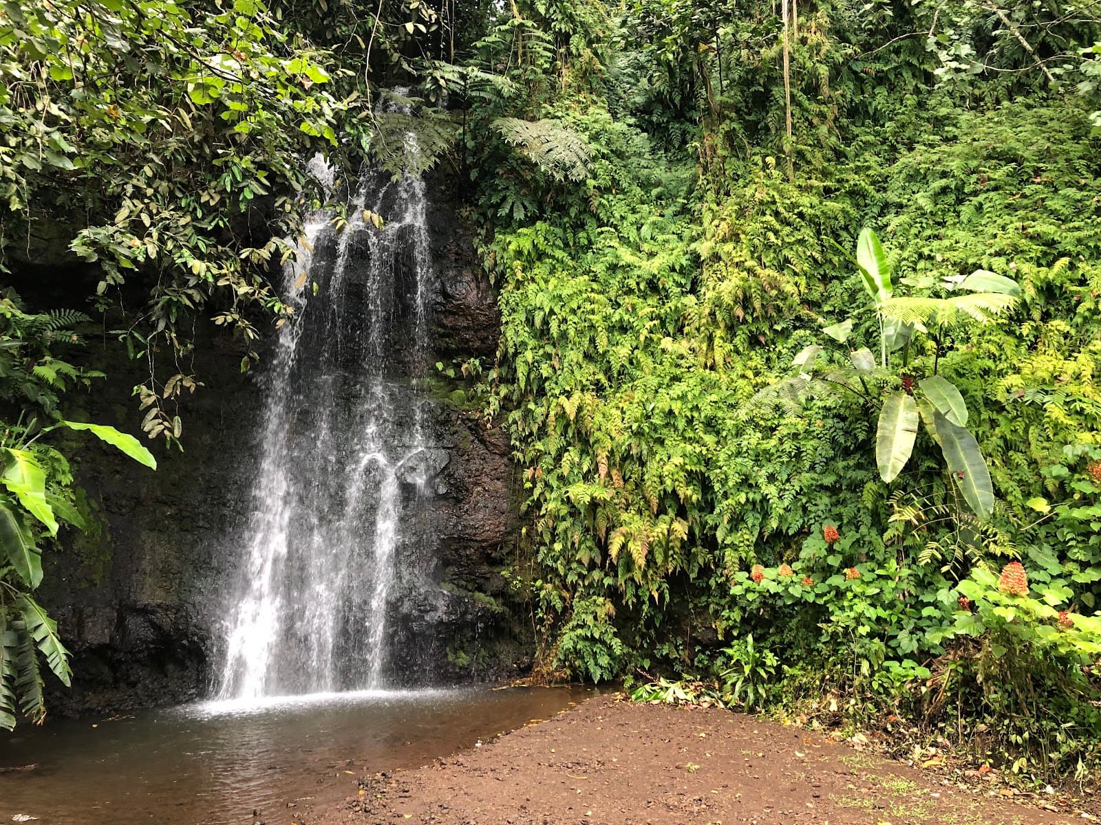 Vaipahi Water Gardens - Image 1