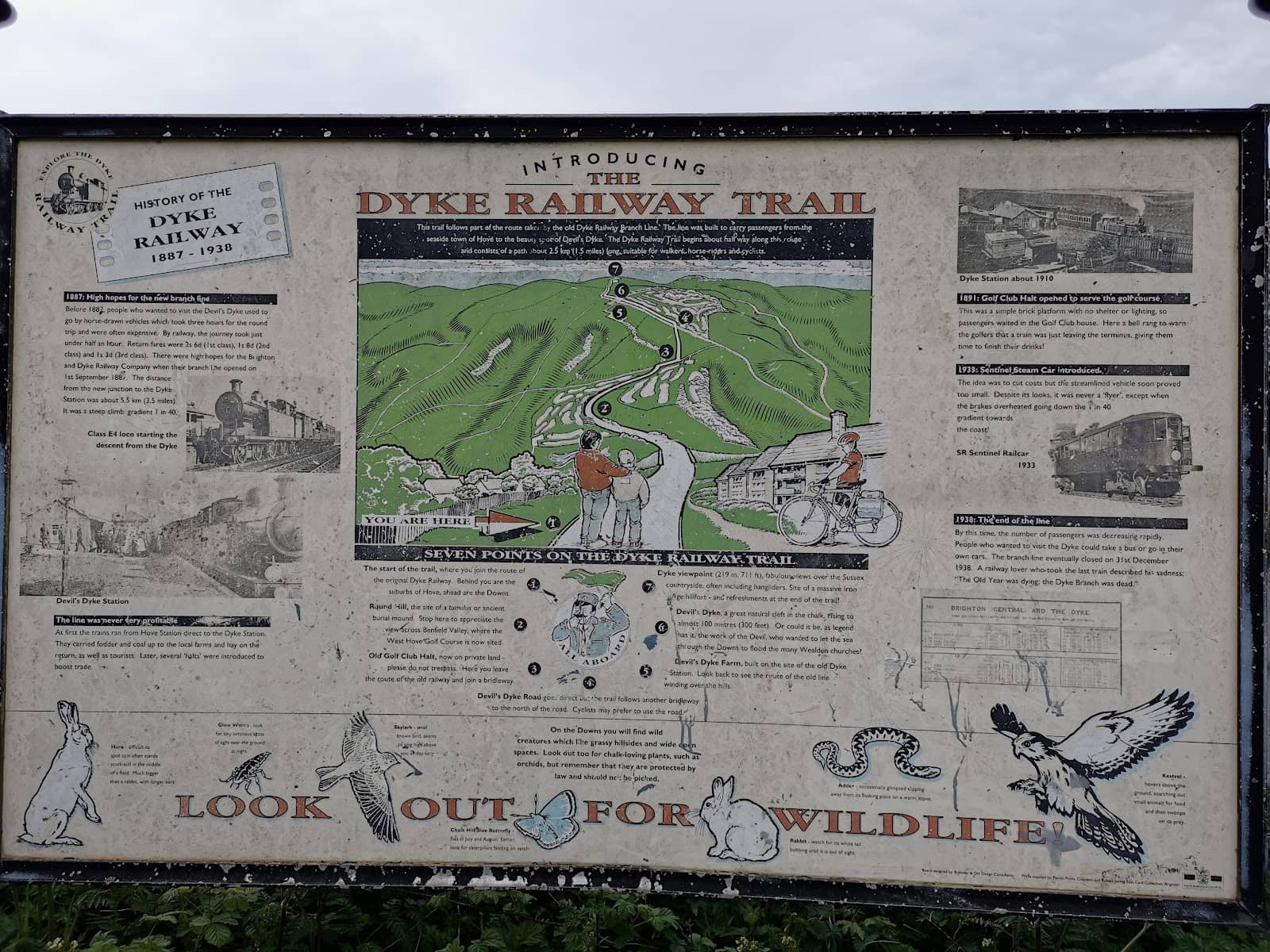 Wooded Start & Open Downs