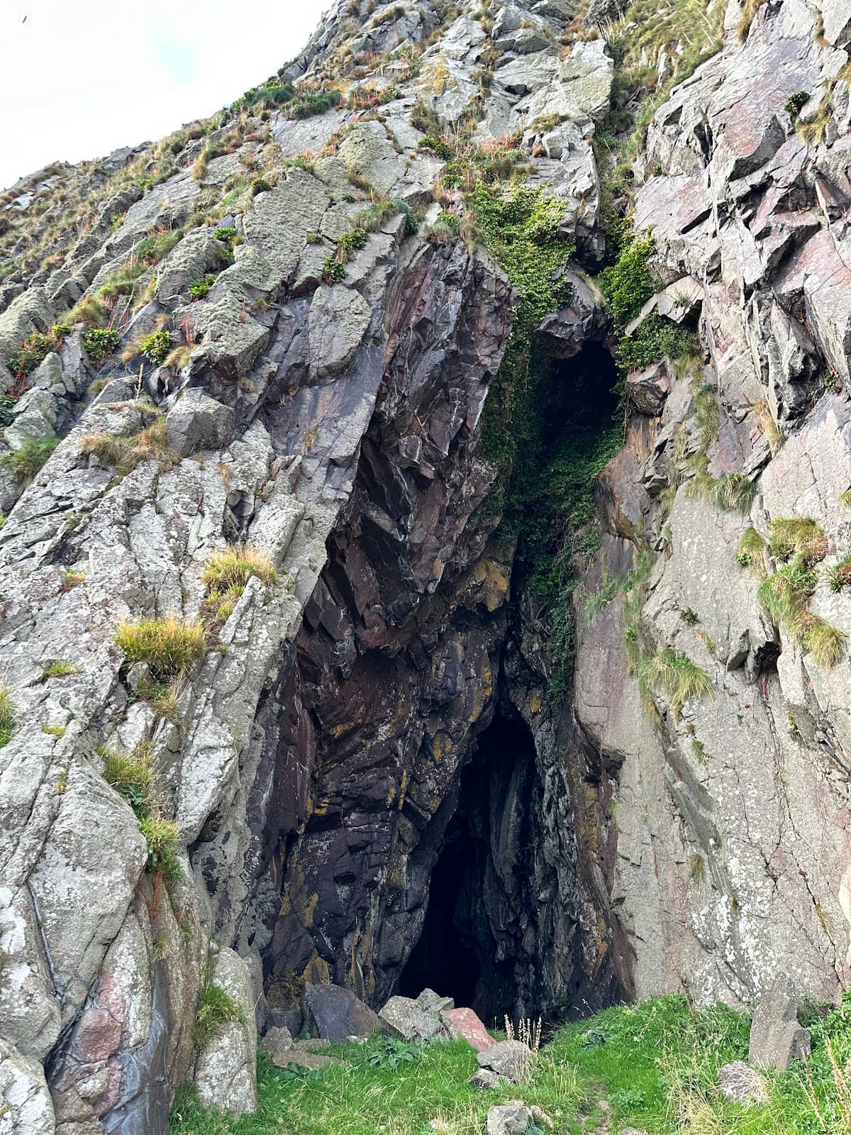 Vertical photo