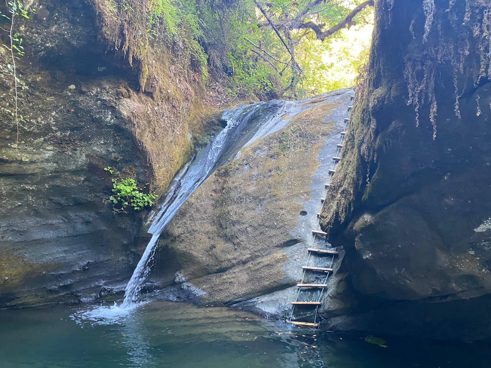 Wilderness Hiking Trails