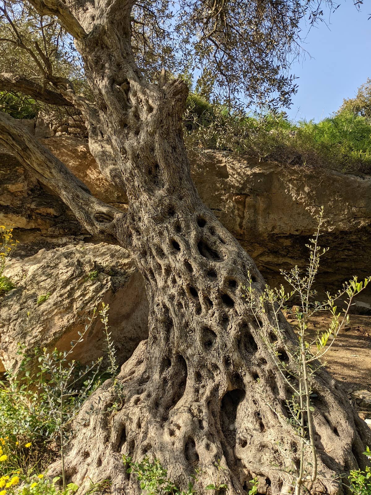 Vertical photo