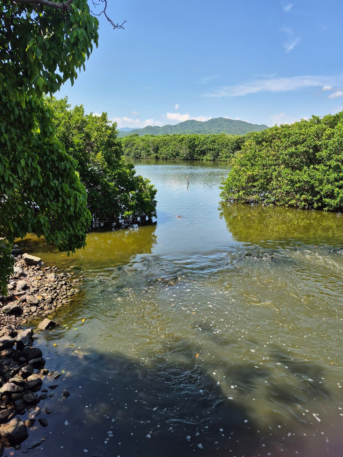 Mirador Valle de las Garzas - Image 1